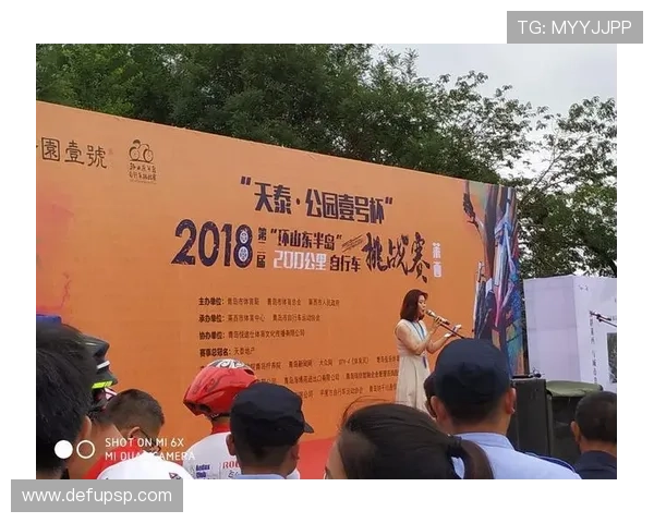 半岛综合体育赛事举办方案：提升地区体育影响力的实用指南